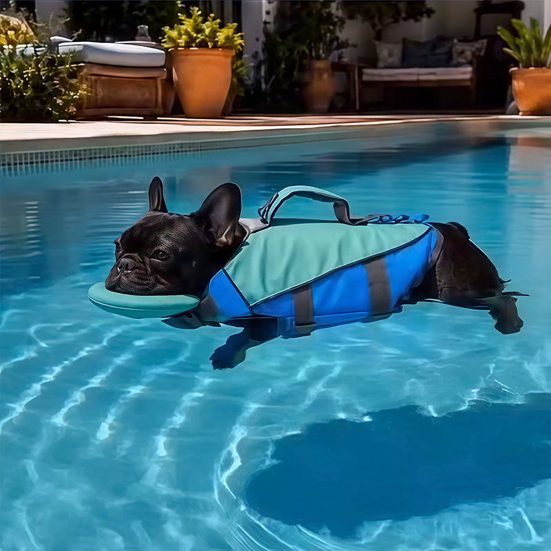 Adjustable Dog Life Vest with Reflective Stripes – High Buoyancy, Breathable Safety Jacket for Water Sports &amp; Swimming